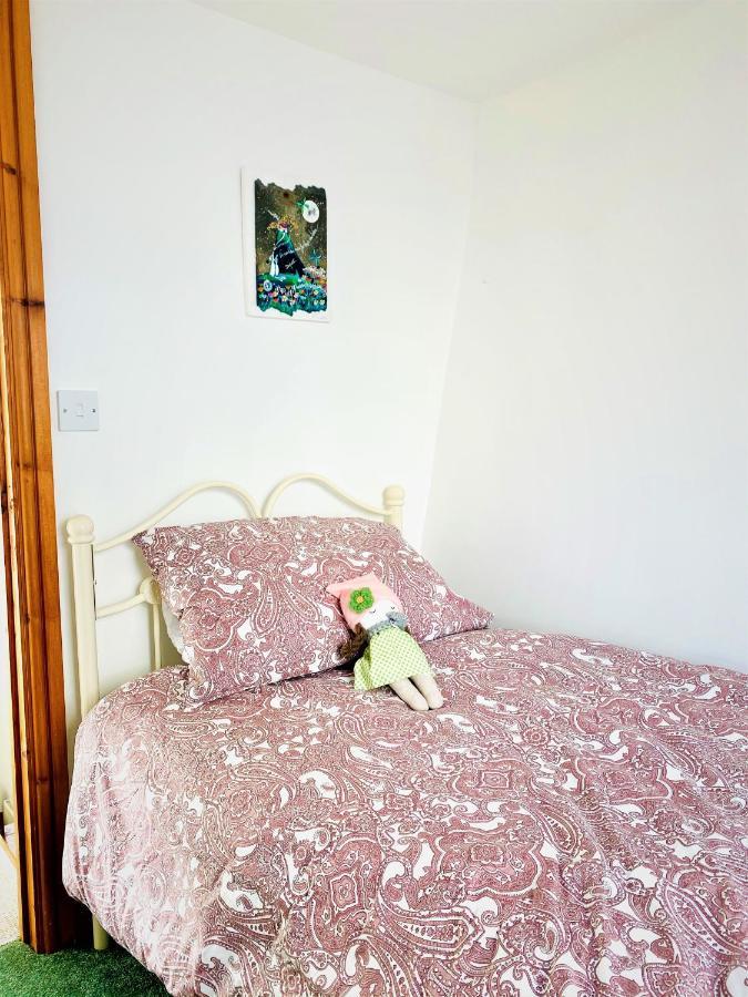 Higher Primrose Cottage Winkleigh Ngoại thất bức ảnh