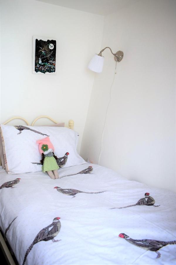 Higher Primrose Cottage Winkleigh Ngoại thất bức ảnh
